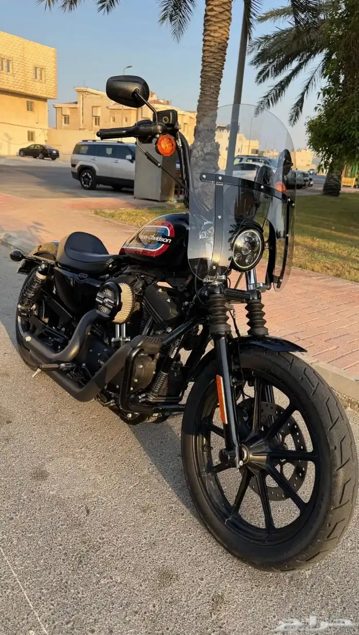 Harley Davidson 2021 sportster 3