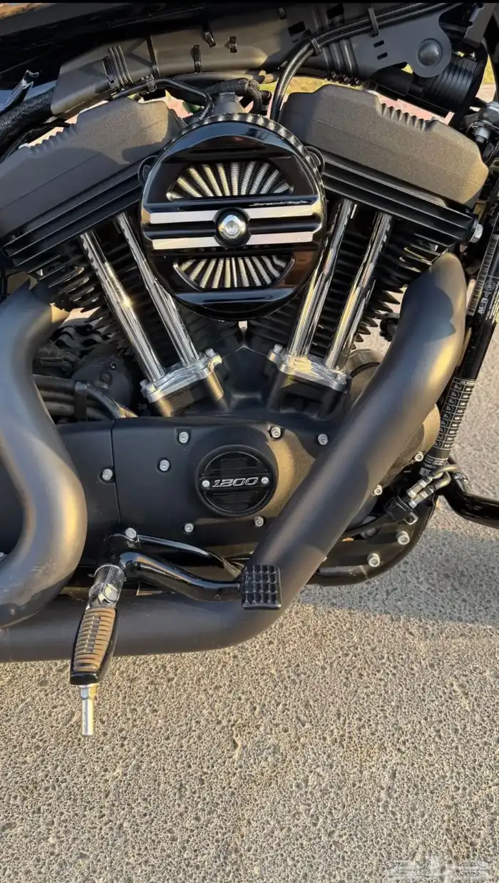 Harley Davidson 2021 sportster 10