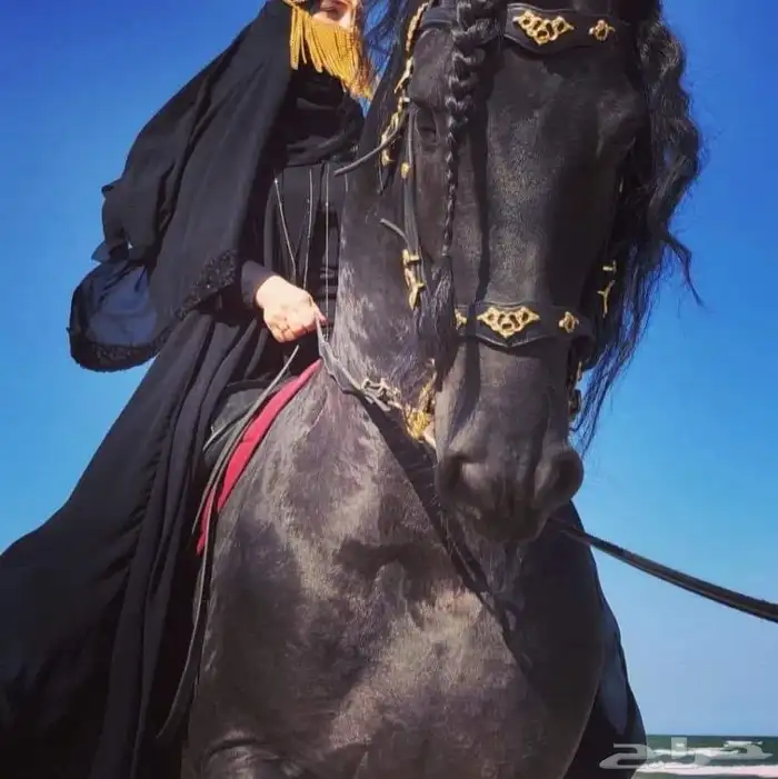 تدريب خيل نسائي خاص100 مع مدربه وايضا يوجد مدرب حسب الاختيار 0