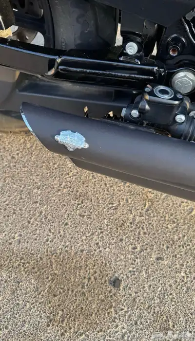 Harley Davidson 2021 sportster index