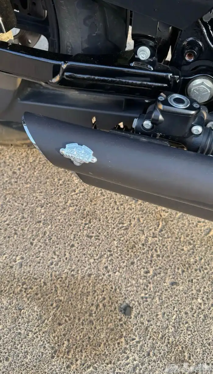 Harley Davidson 2021 sportster 8