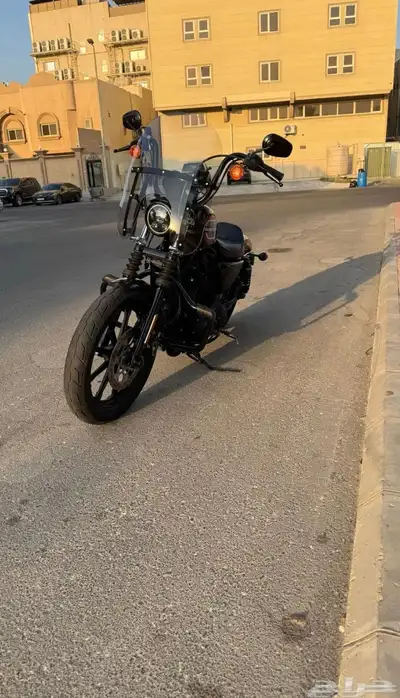 Harley Davidson 2021 sportster index