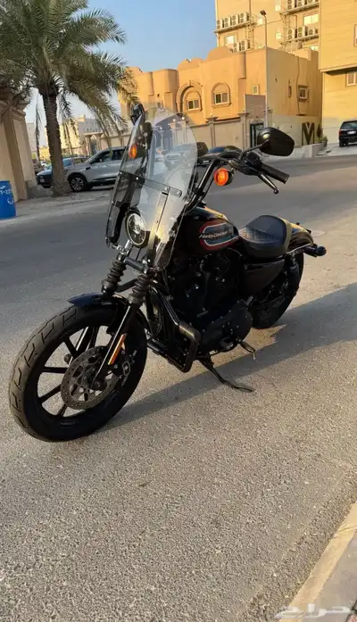 Harley Davidson 2021 sportster index