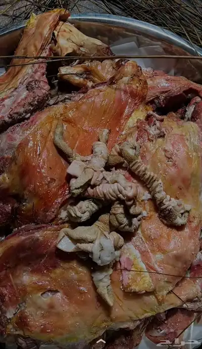 حنيذ باالمرخ index