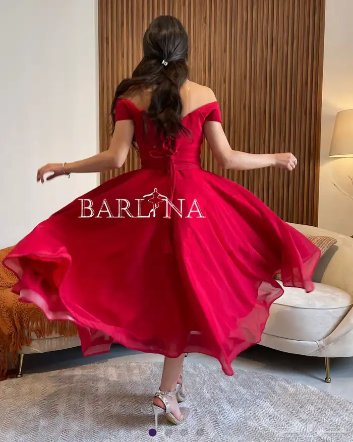 فستان انيق من براند بارلينا 3