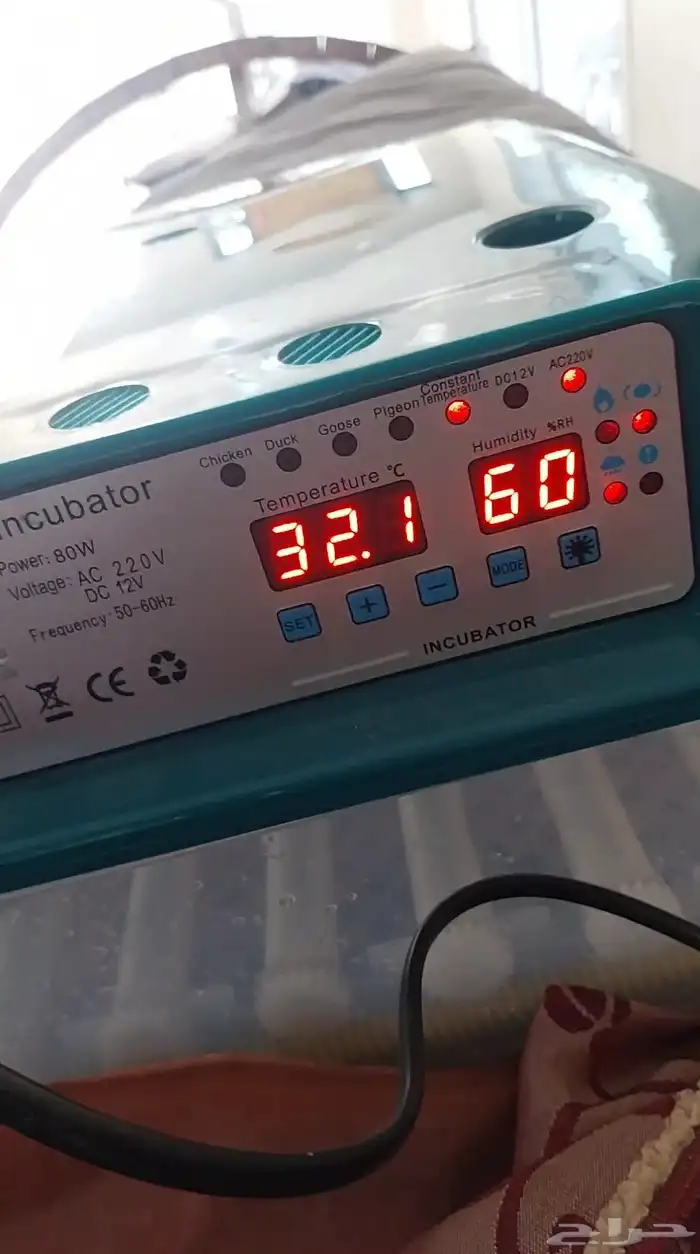 فقاصه للبيع 0