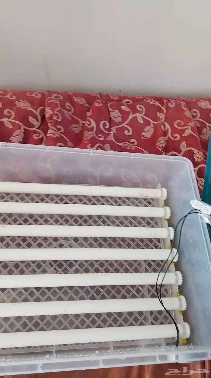 فقاصه للبيع 1