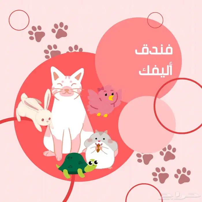 فندقة أليفك 0