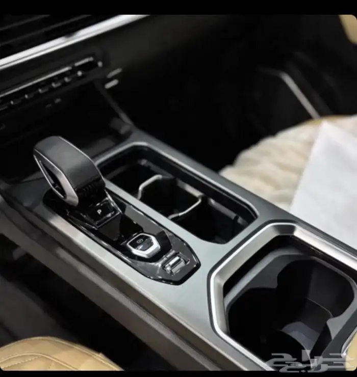 جيلي اوكوفانجو 2025 14