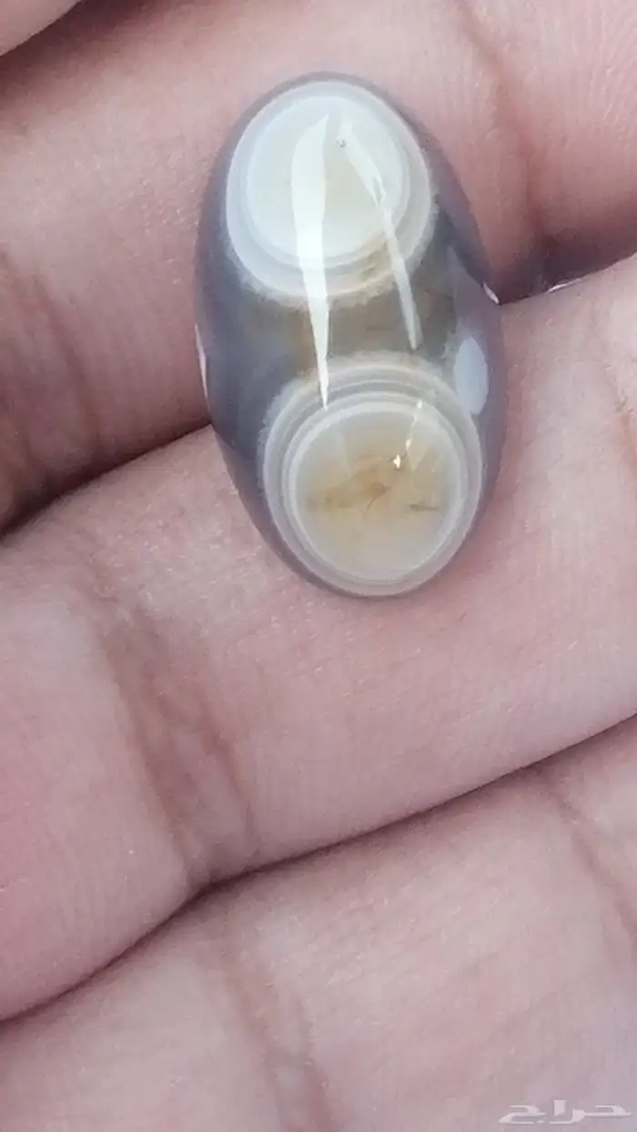 حجرين من نوادر السليماني الهندي 2