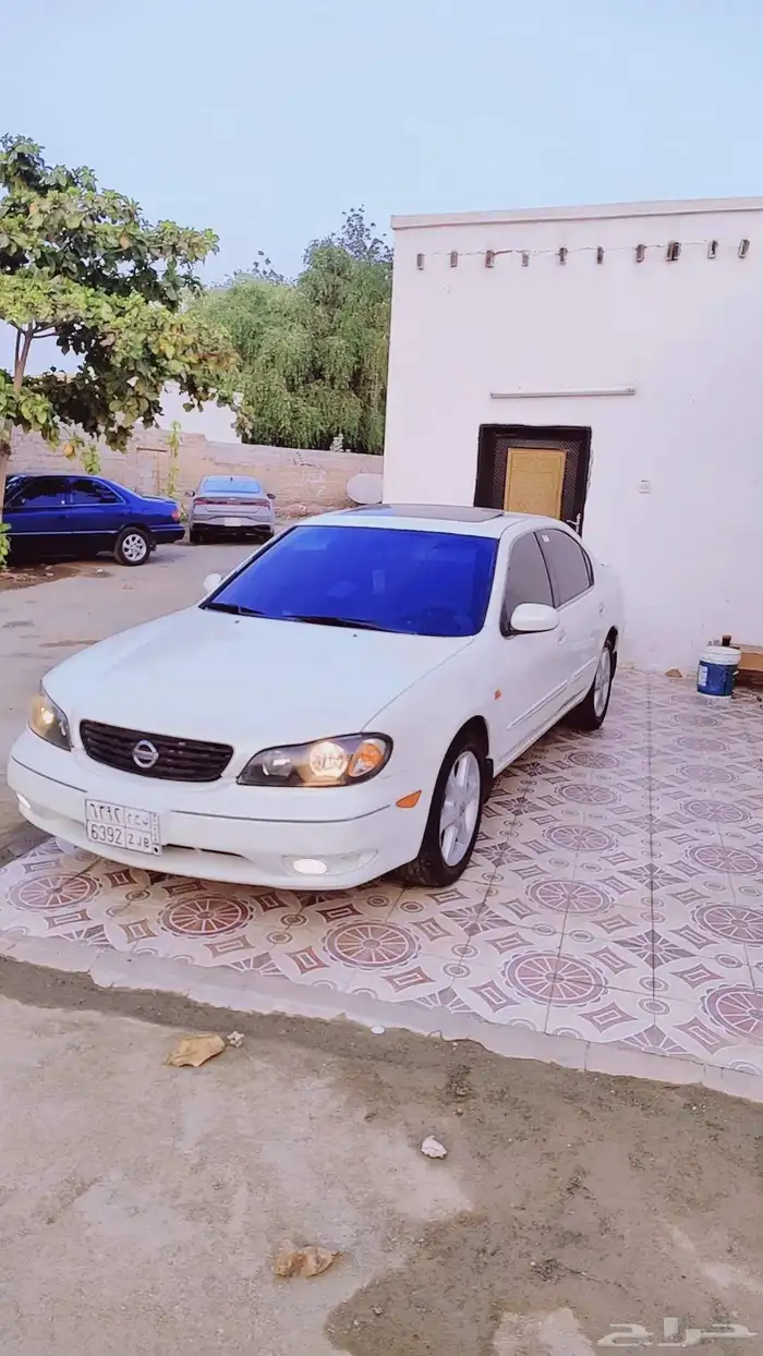 مكسيما 2004 فل كامل قير عادي 1