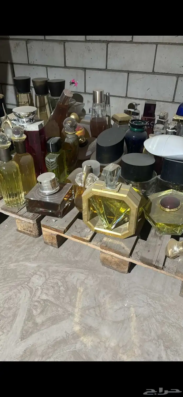 فكتيسات العطور 0