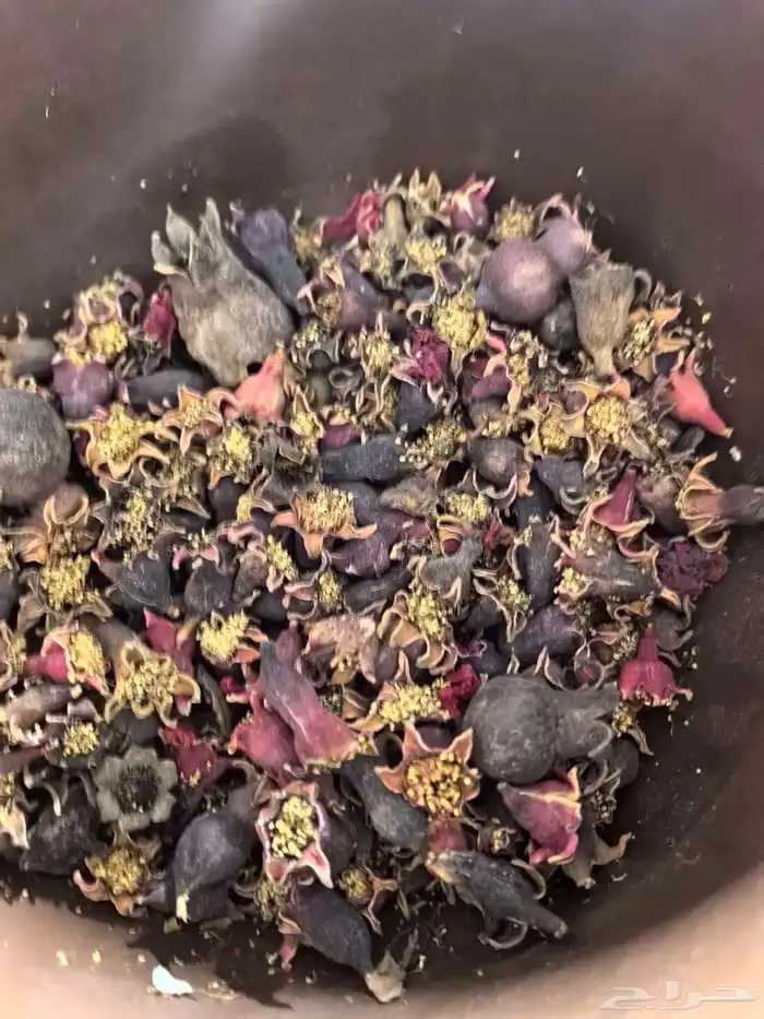 الكرورو القطيفي 2