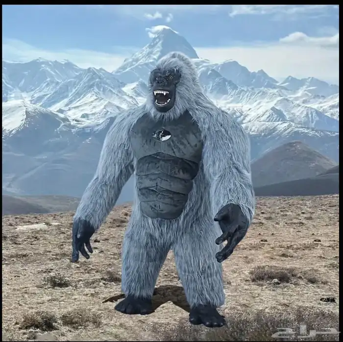 تراسات وبلونات راقصه للايجار 4