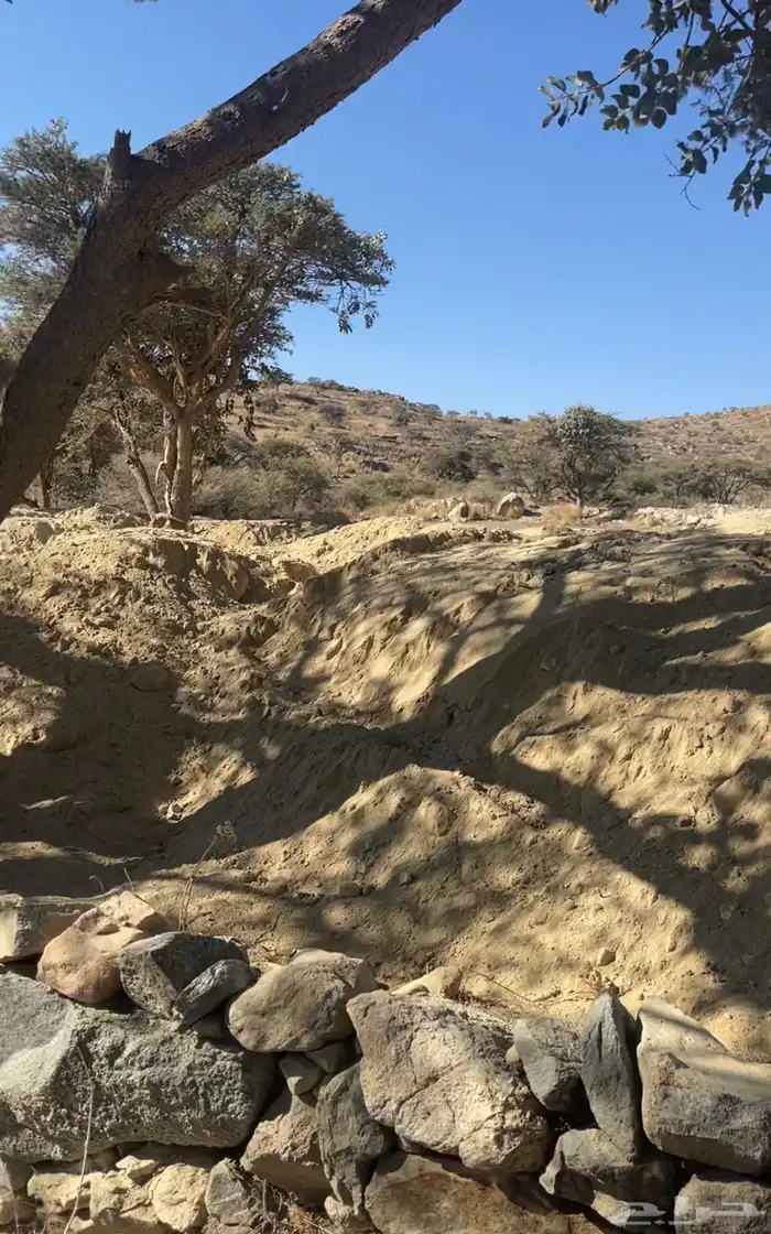 تربه زراعيه للبيع 1