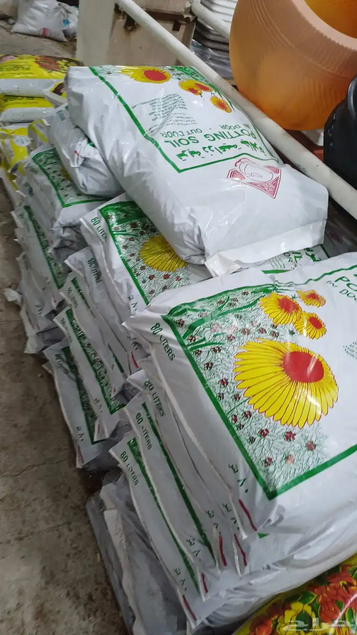 توريد الاشجار والزهور بسعر الجمله 8