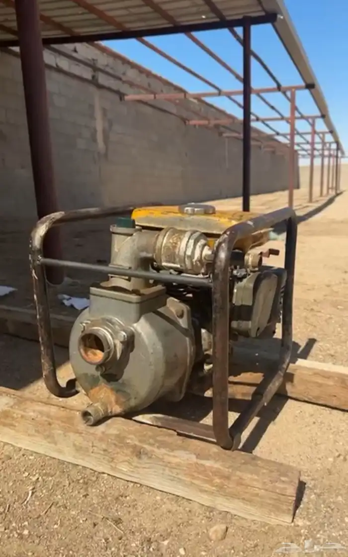 مواطير روبن للبيع 2