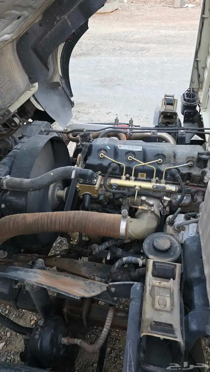 دينا فوتون 11