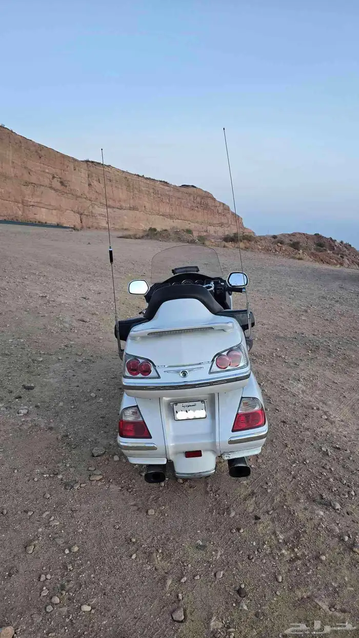 قولدوينق Goldwing موديل 2008 3