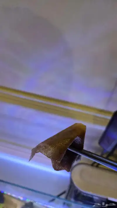 100 ورقة تصفية الماء لحوض السمك index