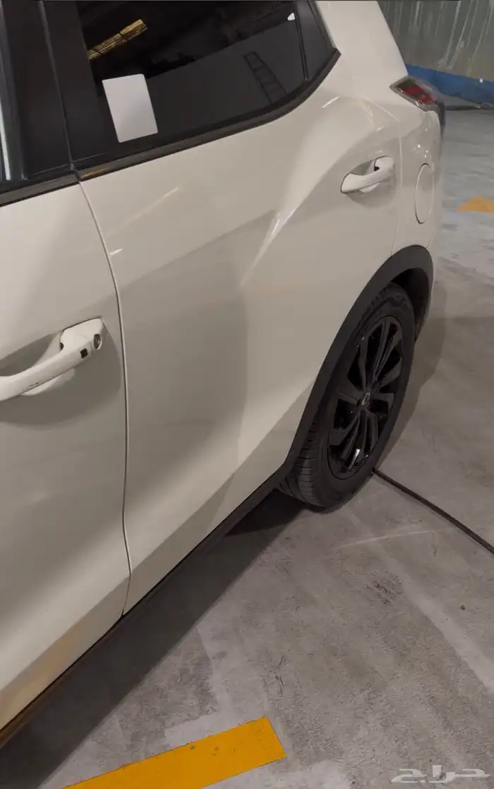 تيفولي 2021 نظيف جدا للمستخدم 1