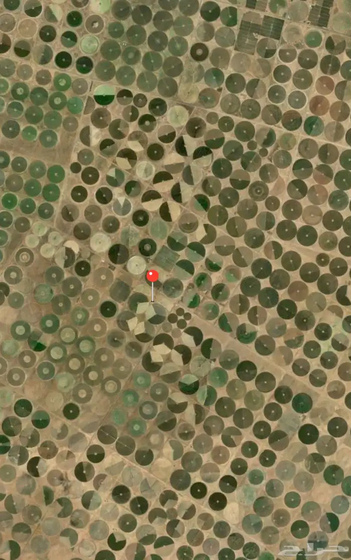 للبيع ارض زراعية بصك الكتروني الموقع طبرجل مزارع بسيطا 1