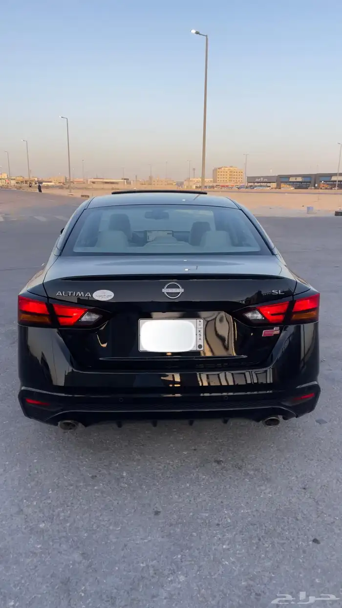 التيما فل الفل 2023 4