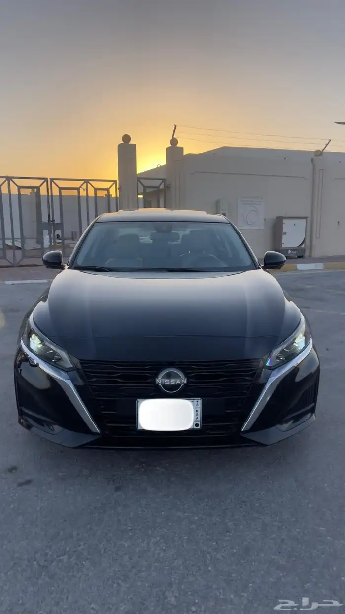 التيما فل الفل 2023 0