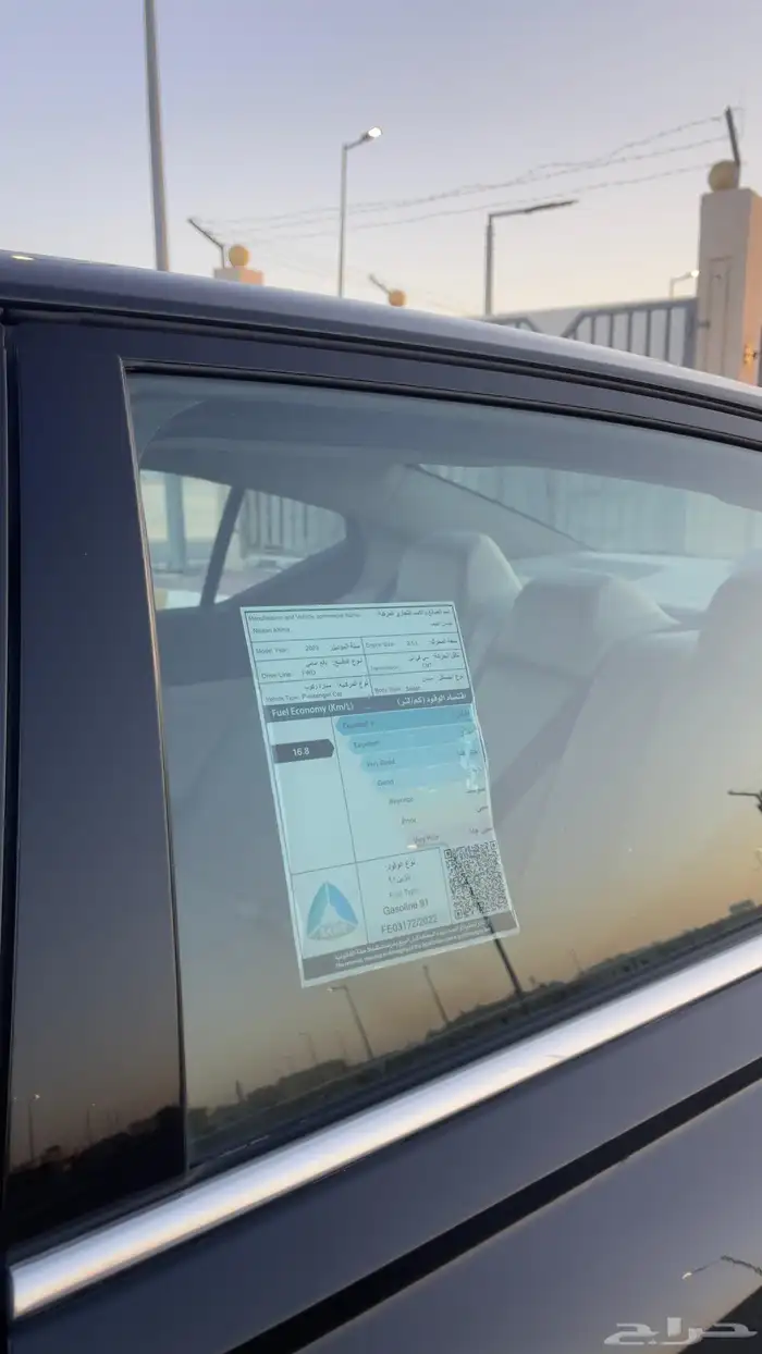 التيما فل الفل 2023 17