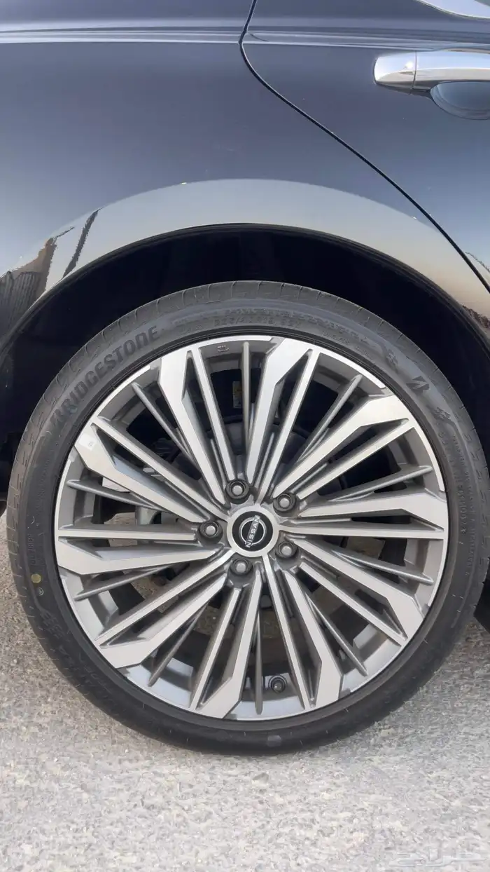 التيما فل الفل 2023 31