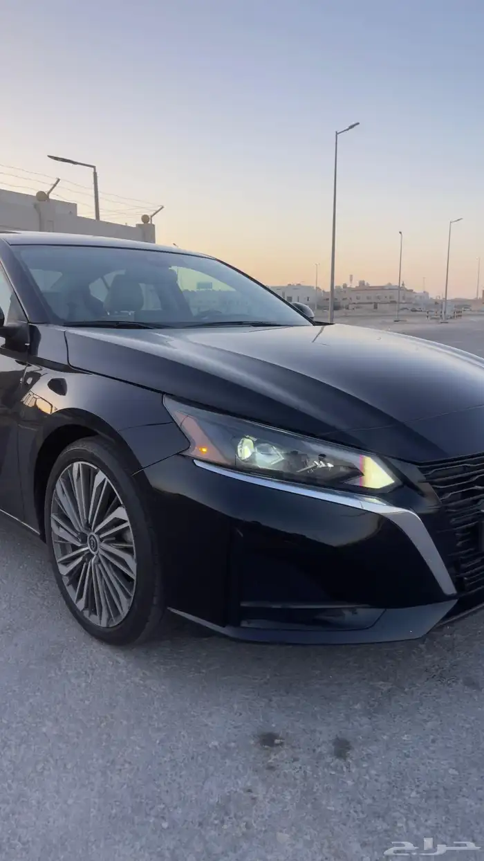 التيما فل الفل 2023 9