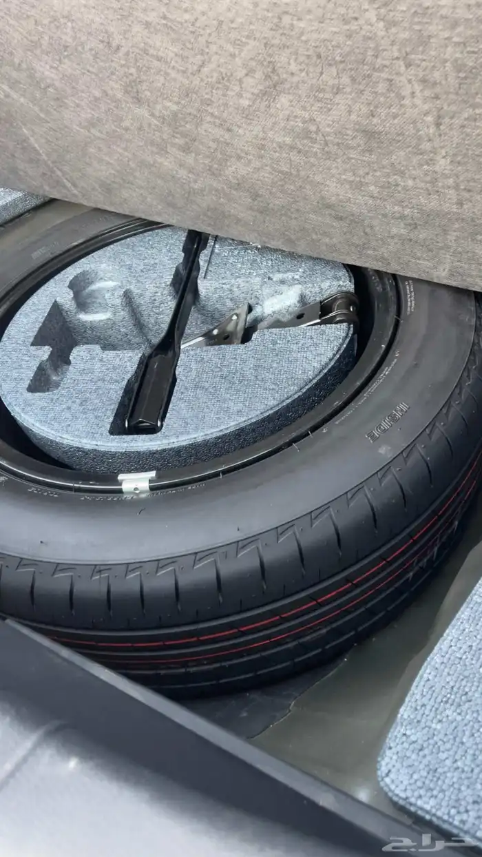 التيما فل الفل 2023 18