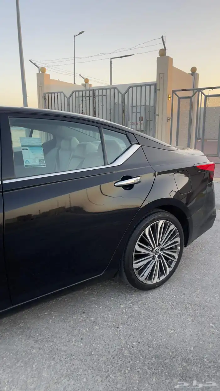 التيما فل الفل 2023 26