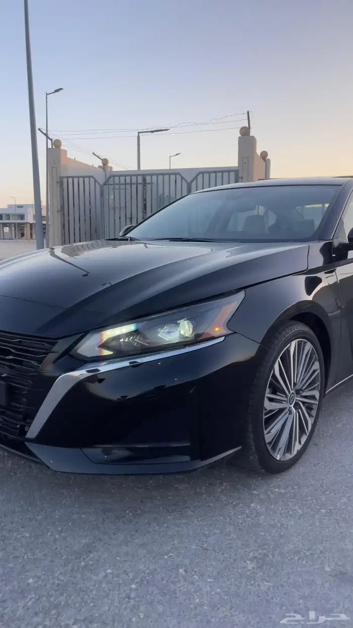 التيما فل الفل 2023 5