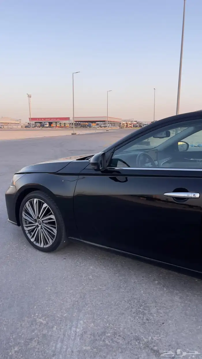 التيما فل الفل 2023 11