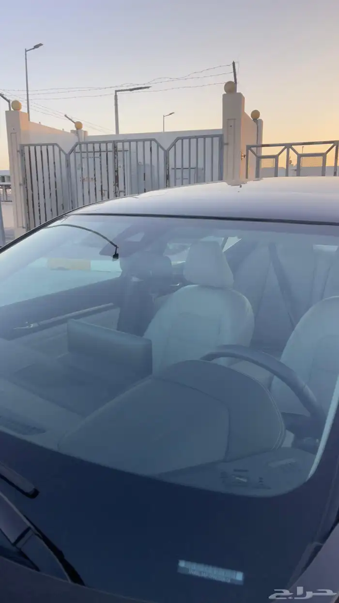 التيما فل الفل 2023 10