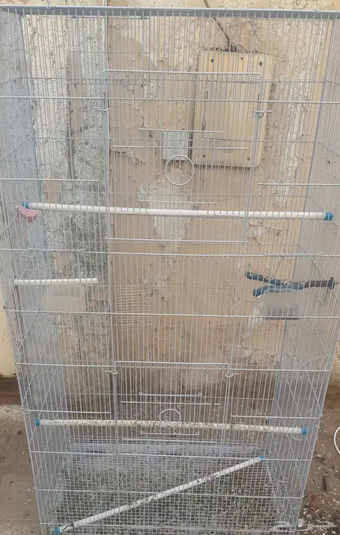 شبك طيور زينه 0