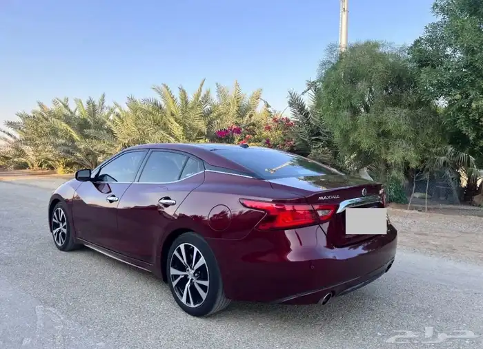 نيسان مكسيما SV-2018 6