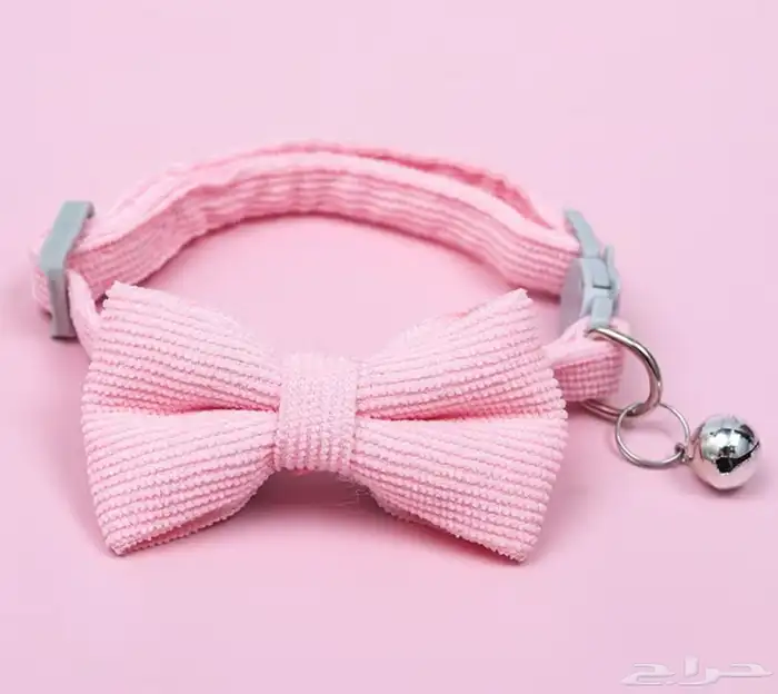 بيع مستلزمات قطط مستخدم يومين فقط 2