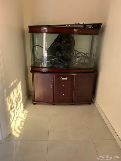 حوض اسماك index