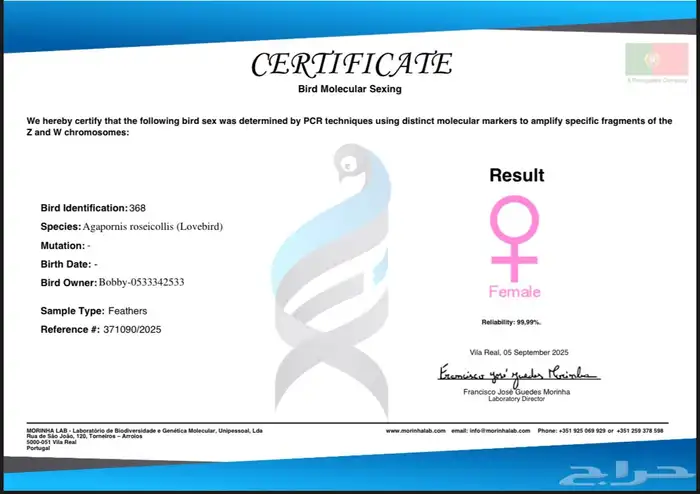 فندق للحيونات الاليفه 9