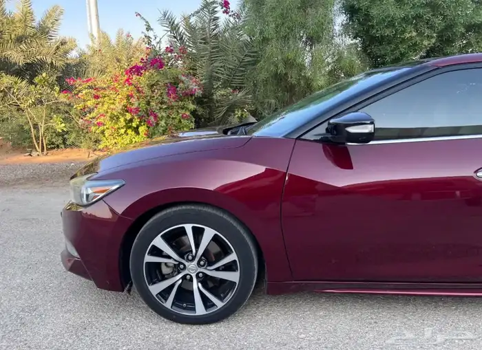 نيسان مكسيما SV-2018 8