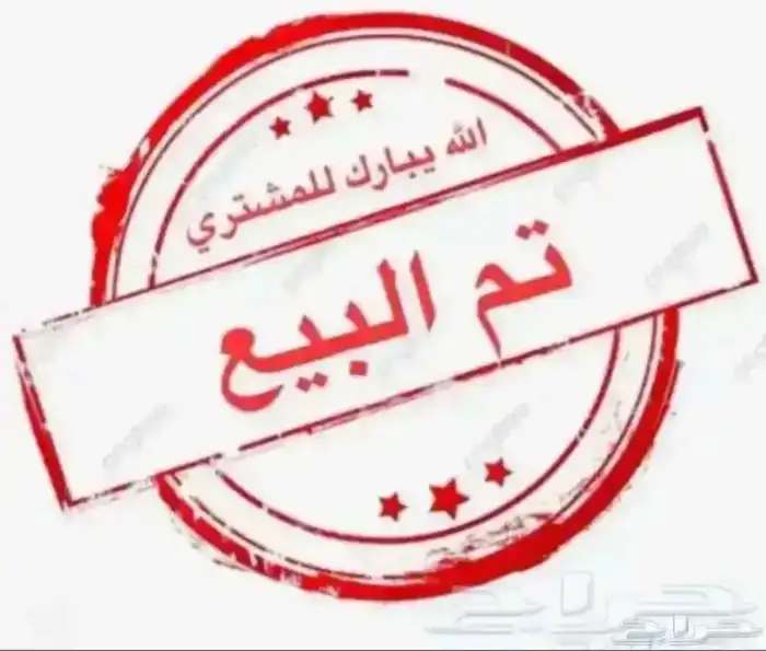 دجاج مفرخه للبيع 0