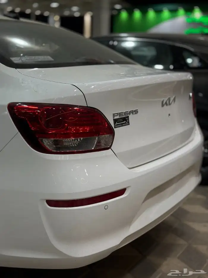 كيا بيجاس ستاندر 2026 3