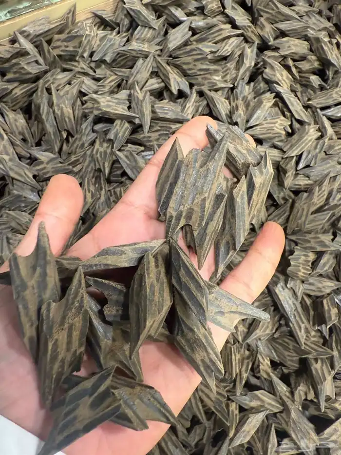 دخون تايقر فيتنامي 0