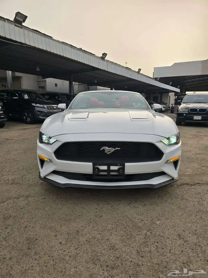 فورد موستنق 2020 4 سلندر ايكو بوست 0