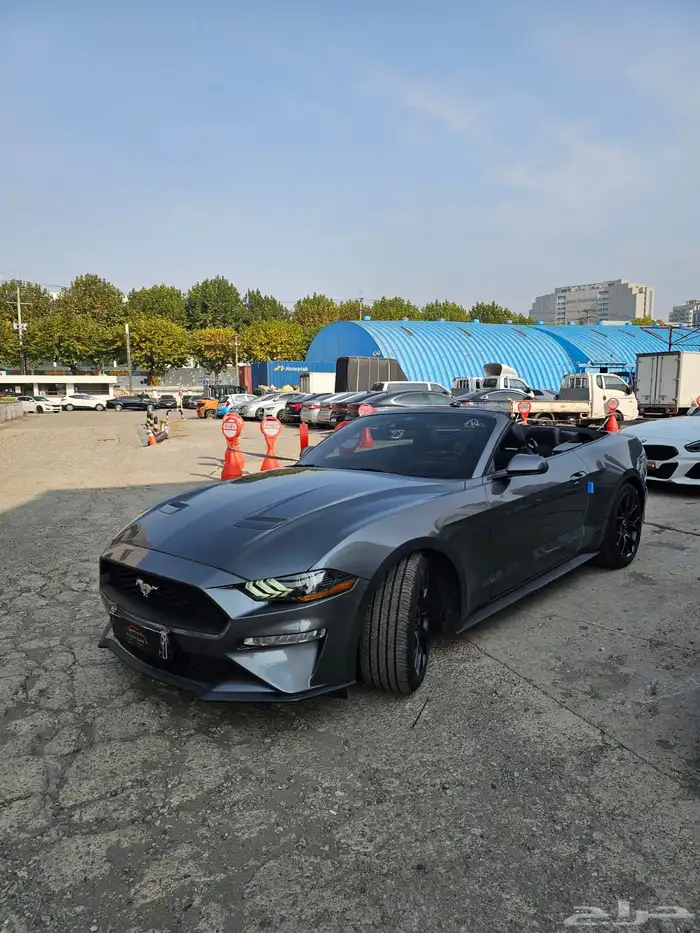 موستنج 2021 كشف 2