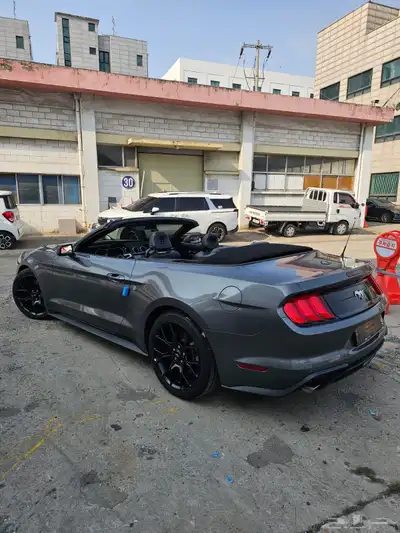 موستنج 2021 كشف index