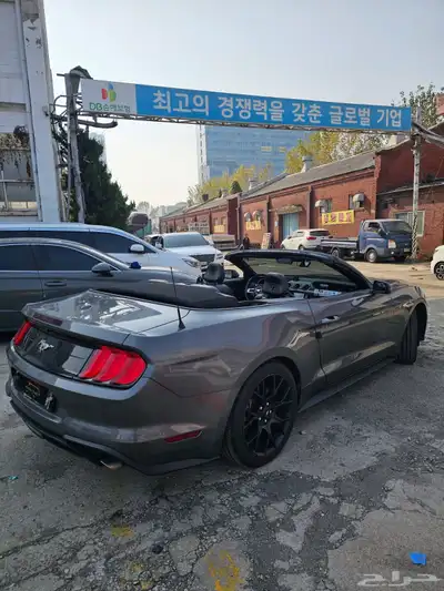 موستنج 2021 كشف index