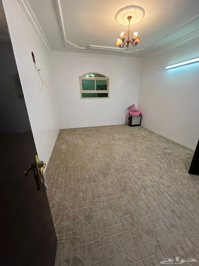 شقة للإيجار حي القادسية 12